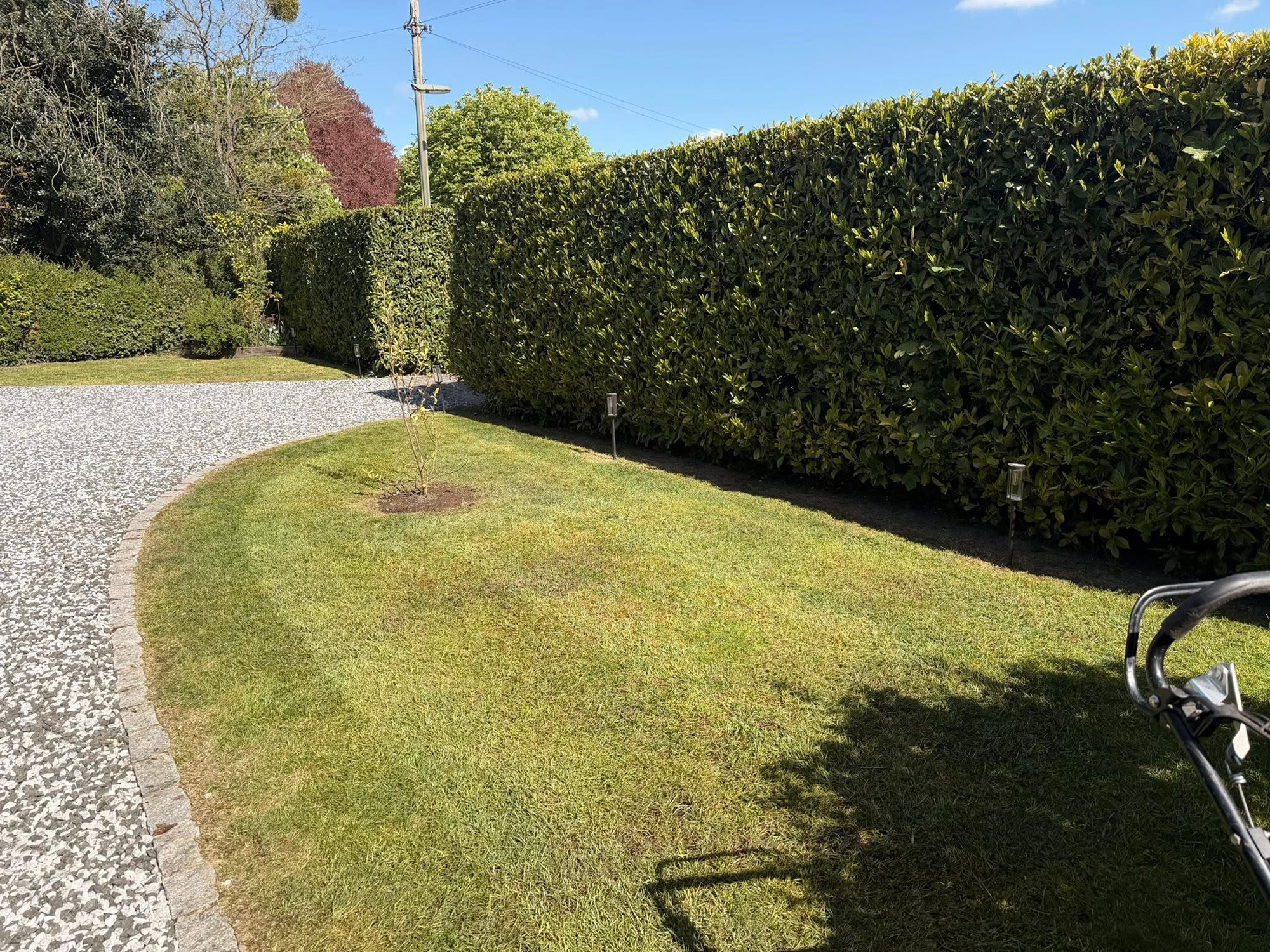 Gardening Services in Epsom
